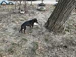     
: IMG_0412.jpg
: 19
:	308.7 
ID:	11759552
