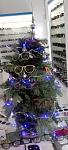     
: 20161221_142306.jpg
: 19
:	84.9 
ID:	11759582