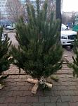     
: P61222-102438.jpg
: 93
:	147.4 
ID:	11760323
