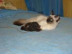     
: DSC03754.JPG
: 28
:	149.1 
ID:	1176048
