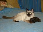     
: DSC03753.JPG
: 30
:	134.1 
ID:	1176049