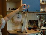     
: DSC03733.JPG
: 40
:	159.8 
ID:	1176061
