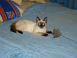     
: DSC03737.JPG
: 33
:	139.0 
ID:	1176066