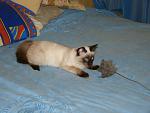     
: DSC03738.JPG
: 18
:	140.2 
ID:	1176079