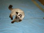     
: DSC03741.JPG
: 17
:	125.0 
ID:	1176082