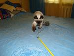     
: DSC03748.JPG
: 17
:	139.4 
ID:	1176087