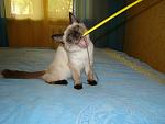     
: DSC03743.JPG
: 27
:	150.9 
ID:	1176092