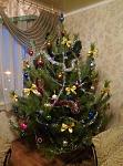     
: image.jpg
: 20
:	106.8 
ID:	11767596