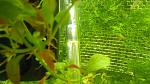     
: 20161227143936.jpg
: 22
:	132.9 
ID:	11768585