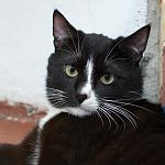     
: DSC_0049.jpg
: 57
:	94.6 
ID:	11768873
