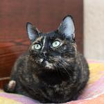     
: DSC_0066.jpg
: 42
:	76.5 
ID:	11768877
