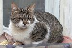     
: DSC_0137.jpg
: 48
:	140.6 
ID:	11768886