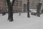     
: IMG_3443.jpg
: 68
:	96.1 
ID:	11770334
