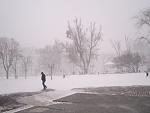     
: IMG_0384.jpg
: 28
:	81.1 
ID:	11770369