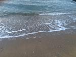     
: IMG_8131.jpg
: 23
:	184.0 
ID:	11770660