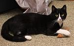     
: 0_1c01cc_2ac7954d_orig.jpg
: 20
:	124.7 
ID:	11772311