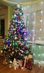     
: P61231-022106-001.jpg
: 19
:	95.2 
ID:	11773180