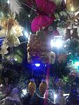     
: P61231-022939.jpg
: 21
:	114.2 
ID:	11773182