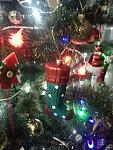     
: P61231-022956.jpg
: 26
:	133.3 
ID:	11773183
