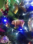     
: P61231-022945.jpg
: 21
:	130.4 
ID:	11773185