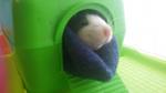     
: 20161231_131521.jpg
: 28
:	51.1 
ID:	11773435