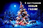     
: 16-25-14-images.jpg
: 38
:	19.6 
ID:	11773538