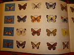     
: DSC06638.JPG
: 8
:	195.4 
ID:	11774776