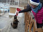     
: P1370214.jpg
: 40
:	182.9 
ID:	11775973