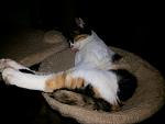     
: 20170102_154521.jpg
: 6
:	98.6 
ID:	11776417