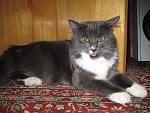    
: IMG_2390.jpg
: 26
:	155.8 
ID:	1177707