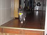     
: IMG_2349.jpg
: 31
:	118.3 
ID:	1177708