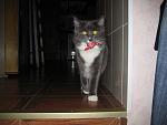     
: IMG_2403.jpg
: 32
:	100.3 
ID:	1177710