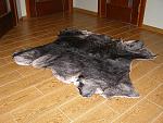     
: P1010015.jpg
: 36
:	232.8 
ID:	11777933