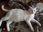     
: каспер1.jpg
: 15
:	190.1 
ID:	11779097