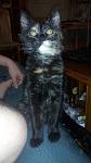     
: ^82DEF1E0055A808BA3CFB97131453B12EAC7AD674E3E21D180^pimgpsh_fullsize_distr.jpg
: 10
:	70.7 
ID:	11782301