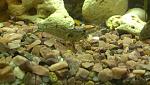     
: IMAG2277.jpg
: 13
:	120.1 
ID:	11785751
