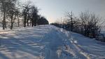     
: IMG_20170110_151131464.jpg
: 72
:	79.4 
ID:	11787869