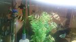     
: DSC_9411.JPG
: 34
:	52.6 
ID:	11790491