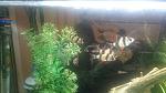     
: DSC_9408.JPG
: 33
:	54.0 
ID:	11790492