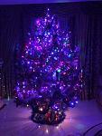     
: IMG_7176.JPG
: 11
:	131.8 
ID:	11792004