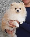     
: 20160926_145836.jpg
: 8
:	116.2 
ID:	11794534