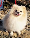     
: 20161003_155012о.jpg
: 12
:	135.1 
ID:	11794535