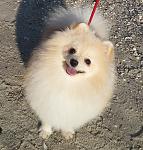     
: 20161003_155626(0)ш.jpg
: 14
:	193.8 
ID:	11794536