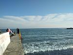     
: IMG_20170115_141208.jpg
: 23
:	145.8 
ID:	11795919