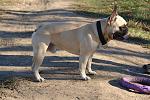     
: zorro.jpg
: 15
:	281.4 
ID:	11797536