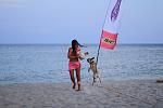     
: Zorro4.jpg
: 15
:	123.7 
ID:	11797583
