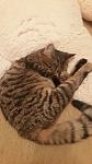     
: 20161226_225451_resized.jpg
: 5
:	70.0 
ID:	11799619