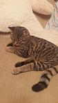     
: 20170112_224858_resized.jpg
: 5
:	67.4 
ID:	11799620