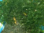     
: DSCF8749.jpg
: 14
:	167.7 
ID:	11800833