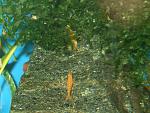     
: DSCF8751.jpg
: 13
:	173.7 
ID:	11800834